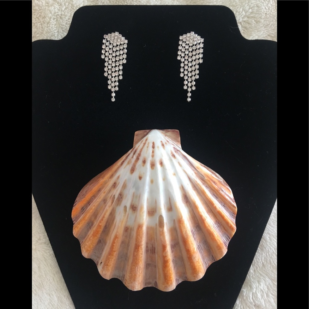 NWOT Natasha CZ Earrings🌺